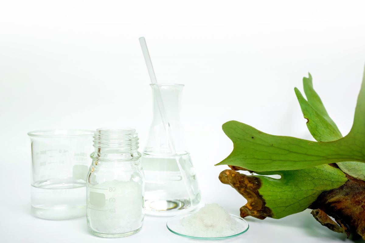 What is an Emulsifier in Skin Care? Sönd