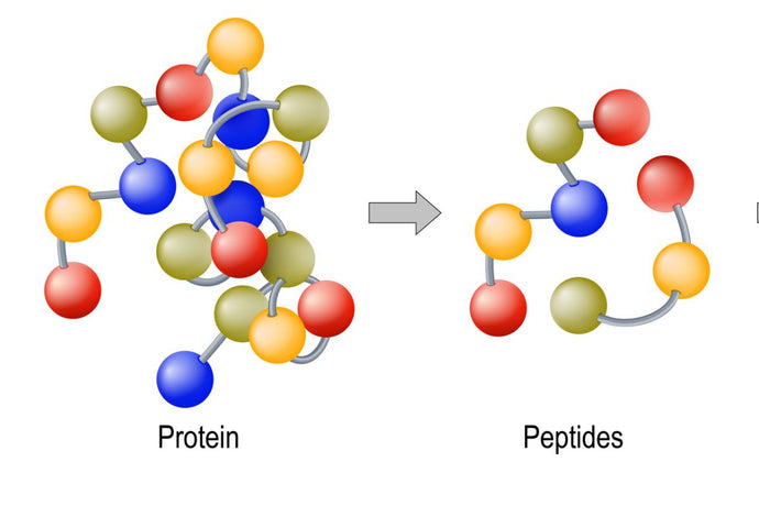 Are peptides safe in skincare?