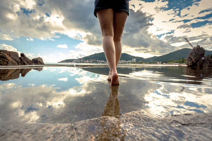 Reflecting on the Year Gone By