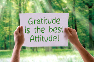 Gratitude: How it Can Help to Relieve Stress