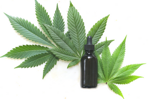 What Are the Hemp Oil Benefits and Uses for Skin?