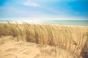 Sea side view